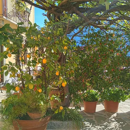 Bellavita Fossati Carate Urio