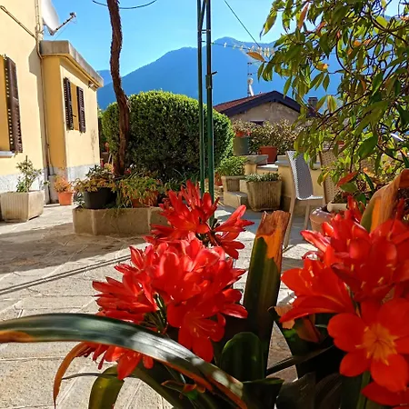Bellavita Fossati Daire Carate Urio